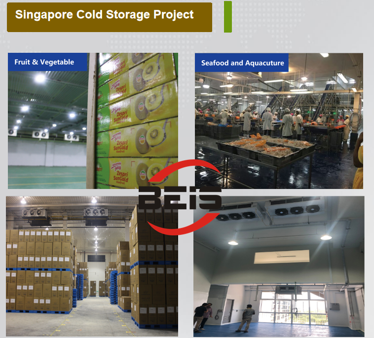 Singapore Logistics Cold Storage Warehouse Project