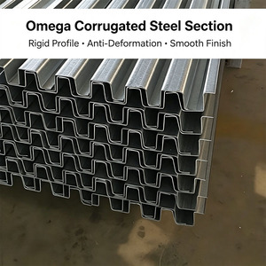 Custom Omega Purlin Cold Rolled Durable Steel for Agricultural Solar Shed Roof
