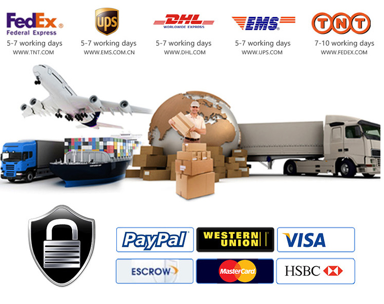 Certification and Exhibition Showcase 4
