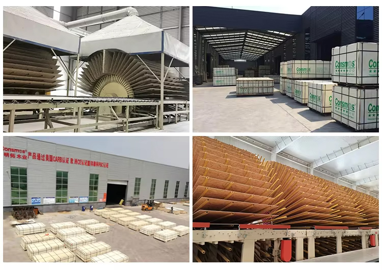 Consmos Production Department