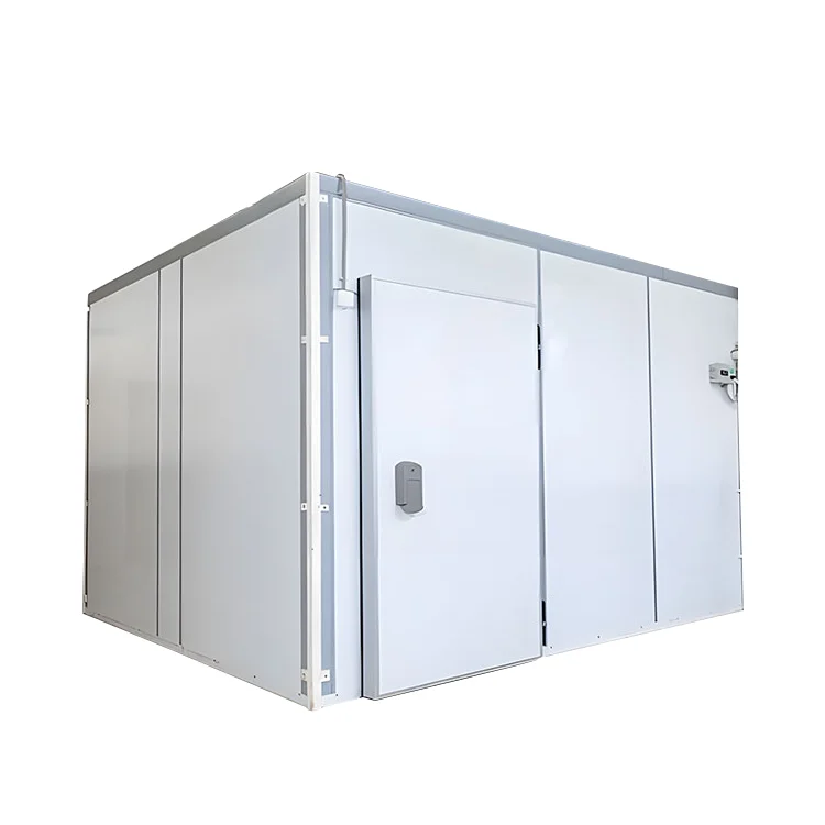 Mobile Walk in Cold Room Food And Beverage Freezer Chiller Room