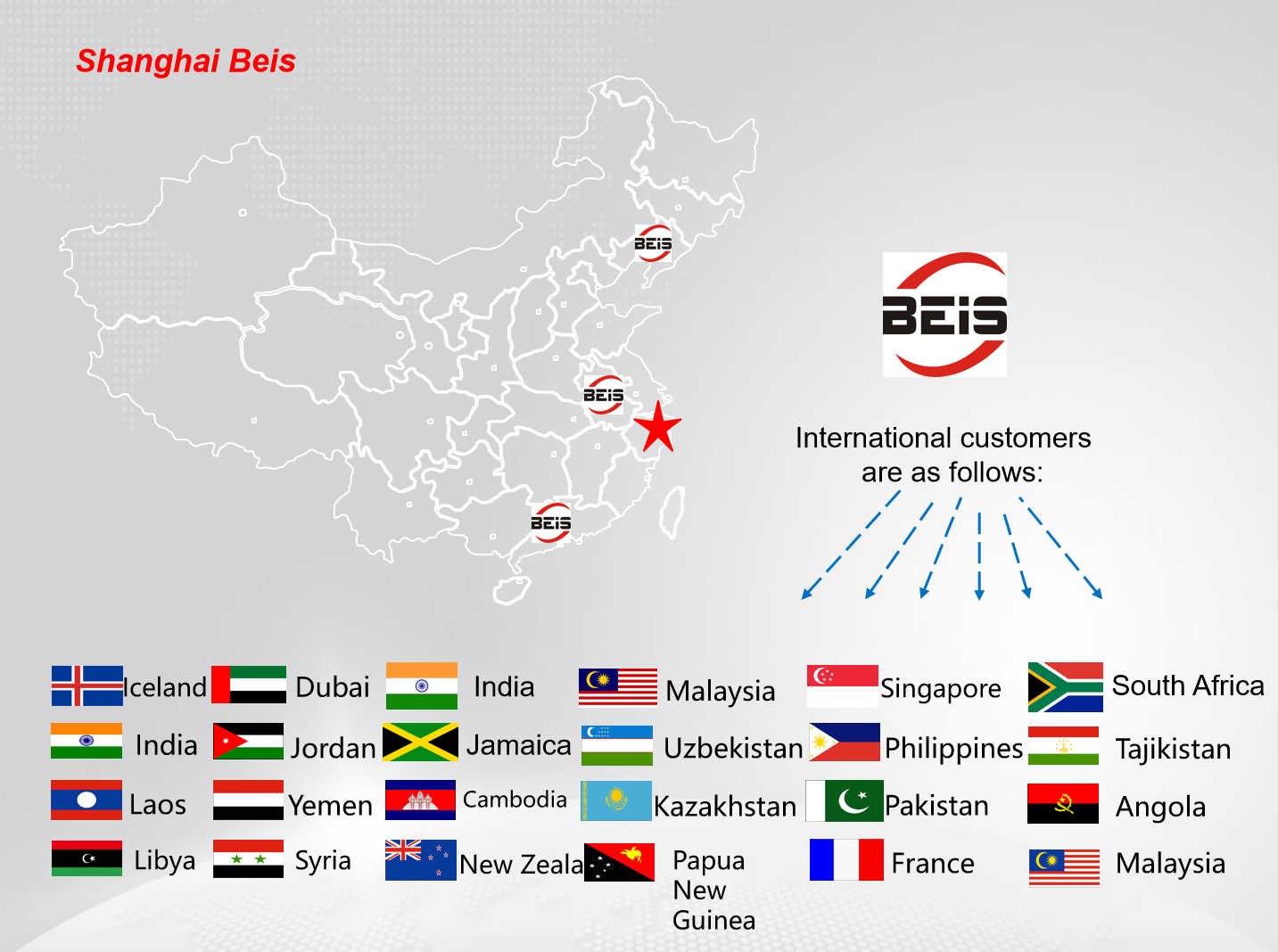 Shanghai Beis Industrial Global Market Overview