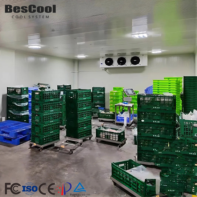 One-Stop Cold Room Solution Customized Cold Room With 100mm 120mm 150mm PU Panels For Large Scale Cold Storage Project
