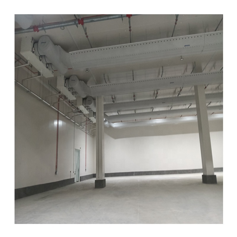 Best Selling Cheap Insulation PU Freezer Cold Room Container Floor Panel with Copeland Compressor 220/380V 1 Year Warranty BEIS