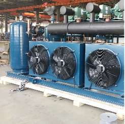 Central Condensing Unit More Than 2 Bitzer Compressors