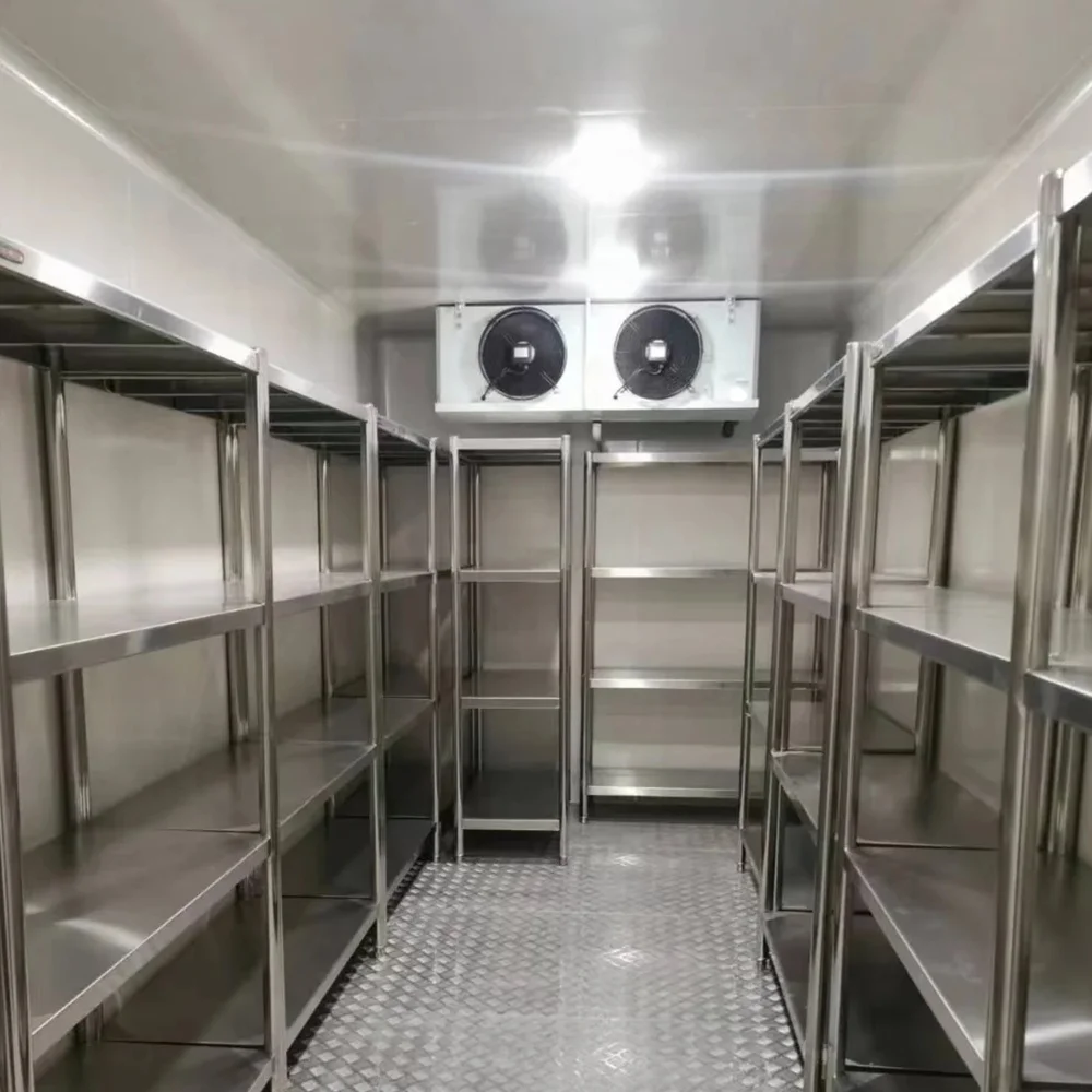 Walk-In Cold Room Commercial Cold Storage Freezer Cabinet for Fruit and Seafood