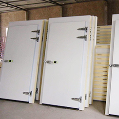 Swing Door