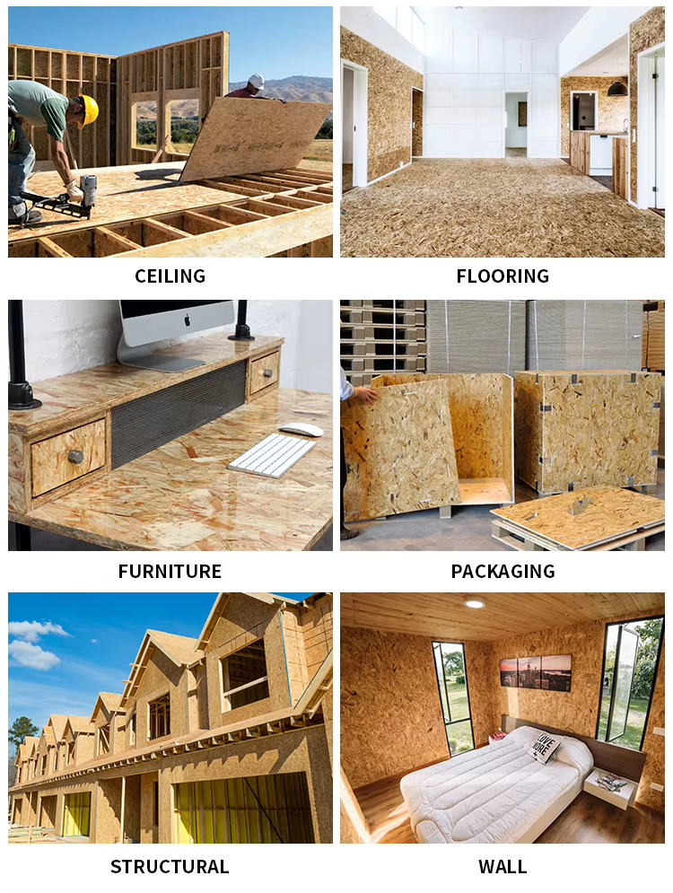 OSB Applications Construction