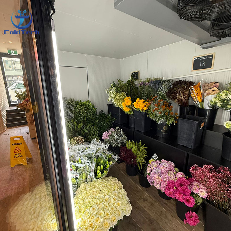 Cold Storage Shelves Load Capacity View