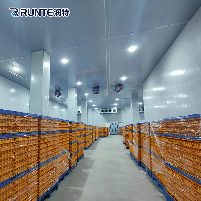Commercial Large Walk in Cooler Cold Storage Room and Freezer Storage