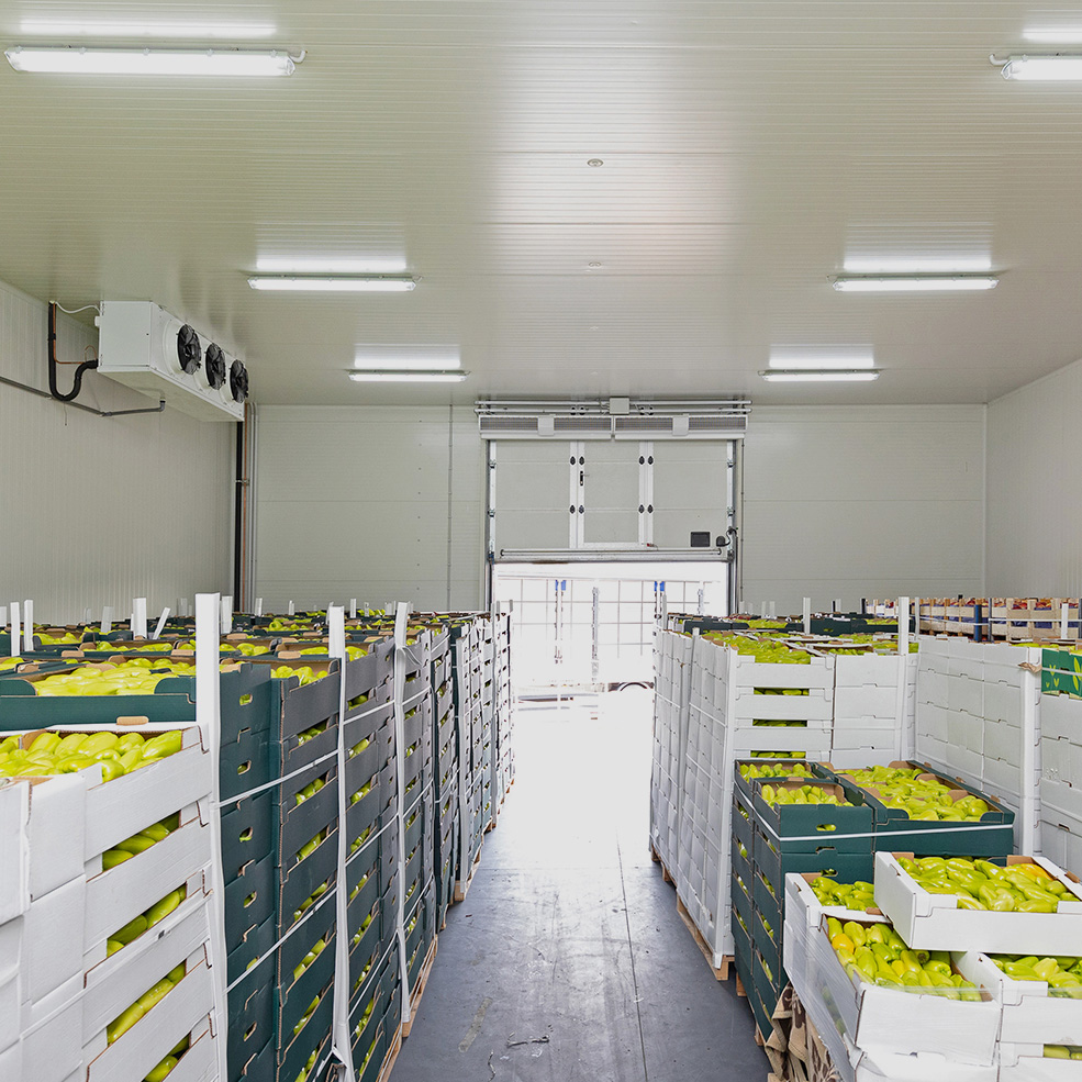Cold Storage Unit Setup