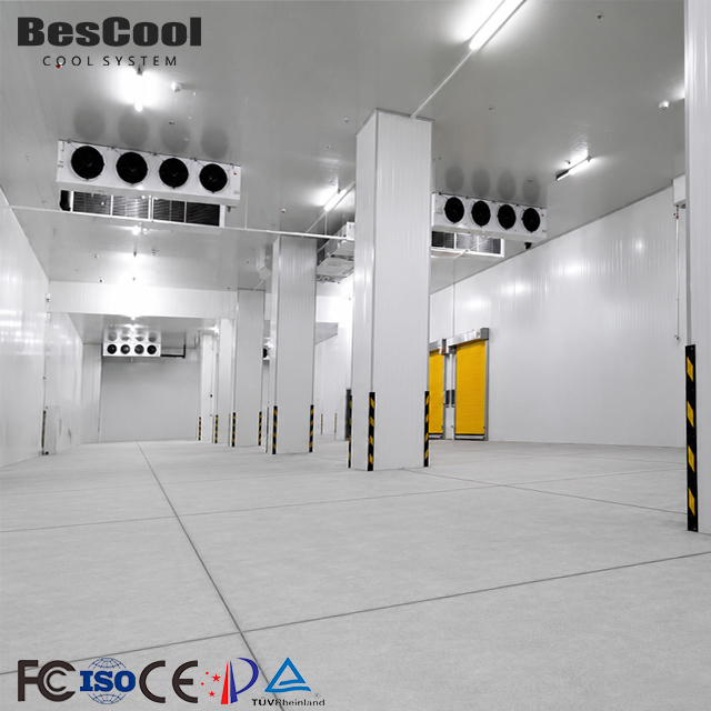 Industrial Large Walk In Cold Storage Warehouse Cold Room For Frozen Food Cold Chain Logistics Distribution Center