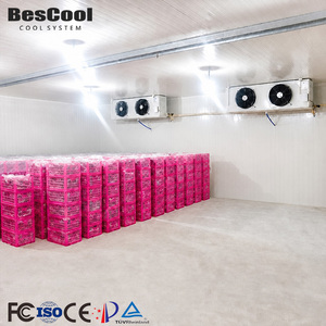 One-Stop Cold Room Solution Customized Cold Room With 100mm 120mm 150mm PU Panels For Large Scale Cold Storage Project