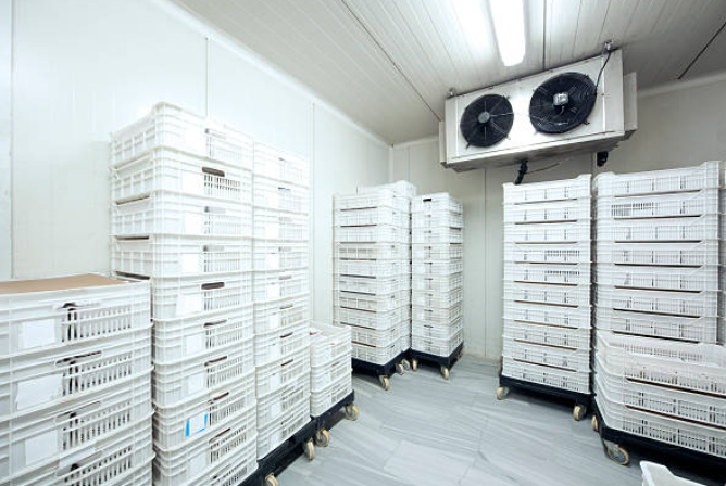Cold Room Structure