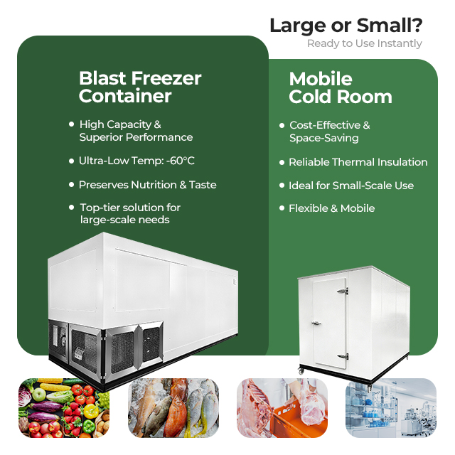 Walk in Freezer Supermarket Refrigeration Storage Industrial Cold Room Container Eco-Friendly New for Vegetable Sale