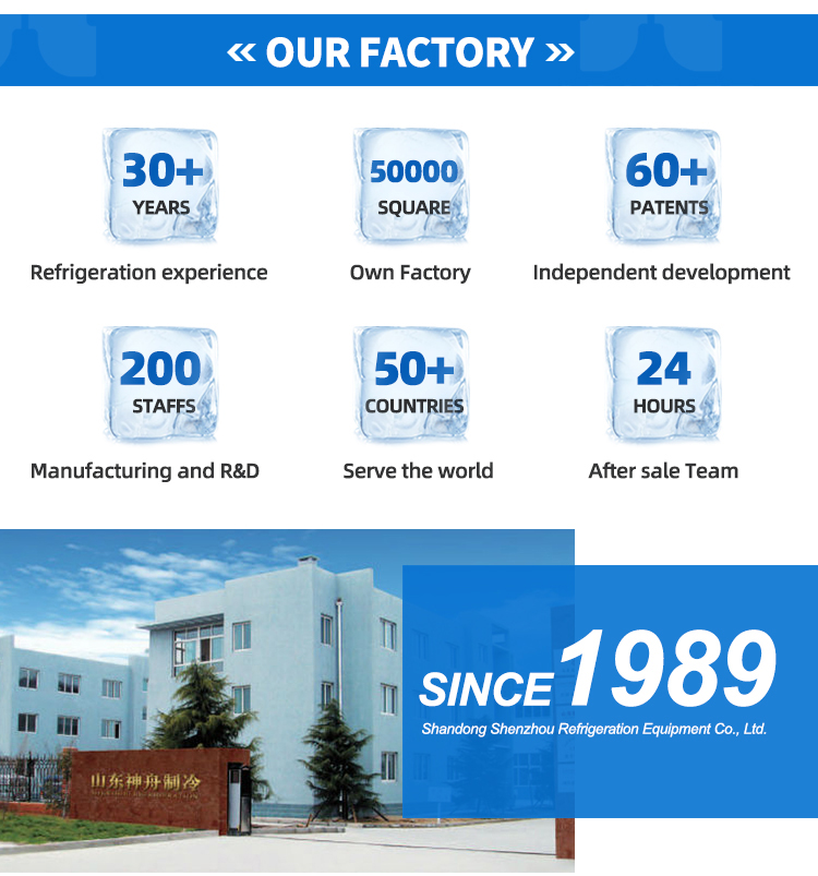 Company Overview