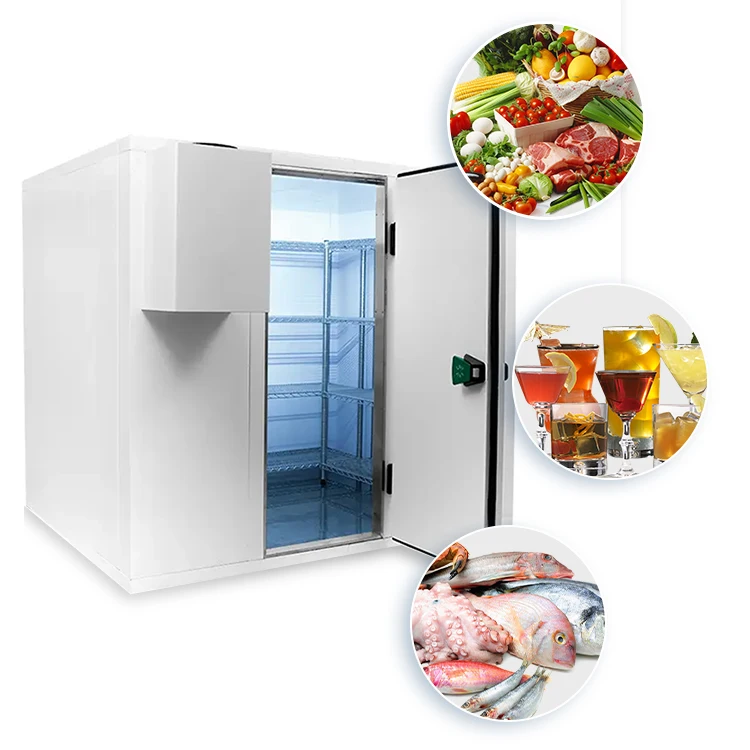Mobile Walk in Cold Room Food And Beverage Freezer Chiller Room