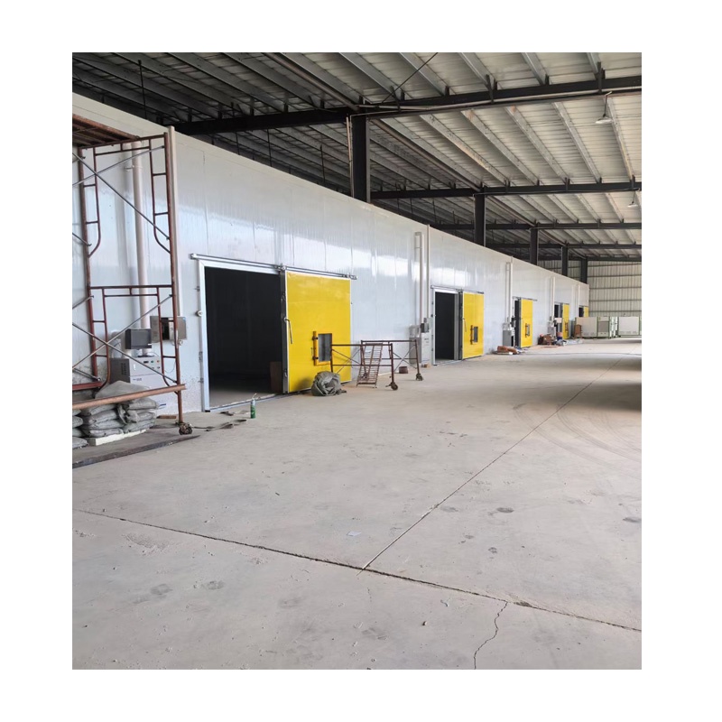 Best Selling Cheap Insulation PU Freezer Cold Room Container Floor Panel with Copeland Compressor 220/380V 1 Year Warranty BEIS