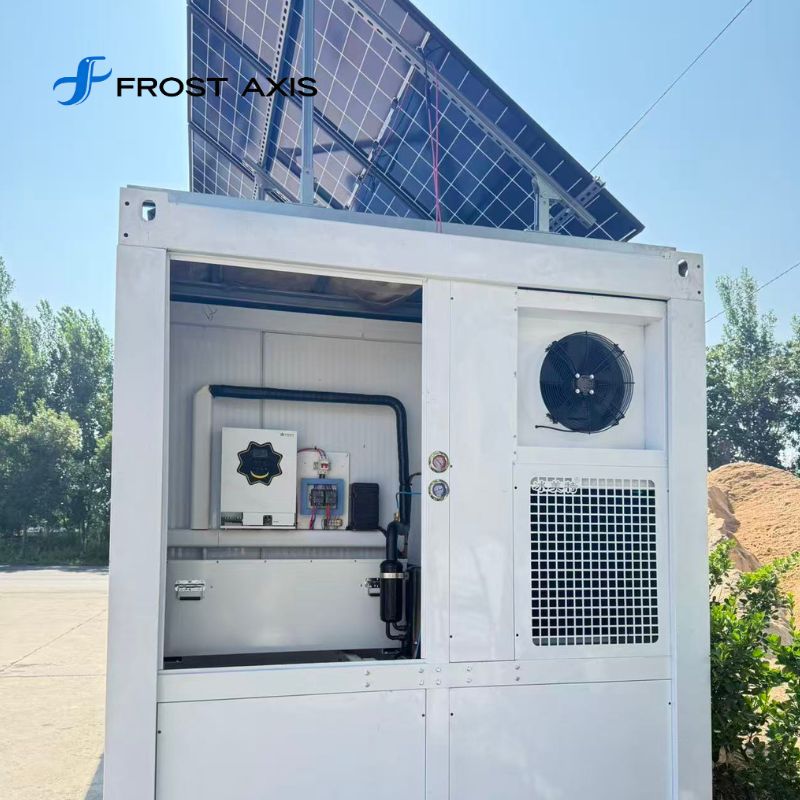 Solar Powered Cold Storage Room Automatic Off Grid Walk in Freezer with Copeland Sanyo Refrigeration System for Food Storage CE