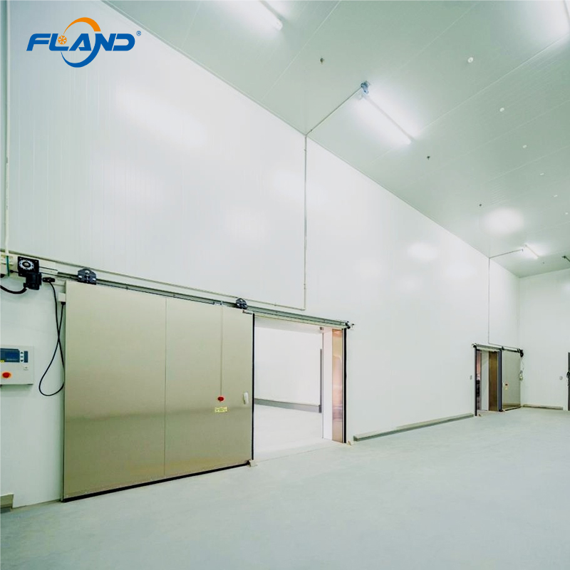 For High Quality Container Cold Room Storage Double Opposing Doors Automatic Sliding Door Copeland Stainless Steel