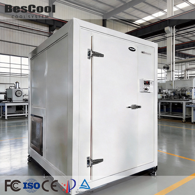 Walk in Freezer Supermarket Refrigeration Storage Industrial Cold Room Container Eco-Friendly New for Vegetable Sale