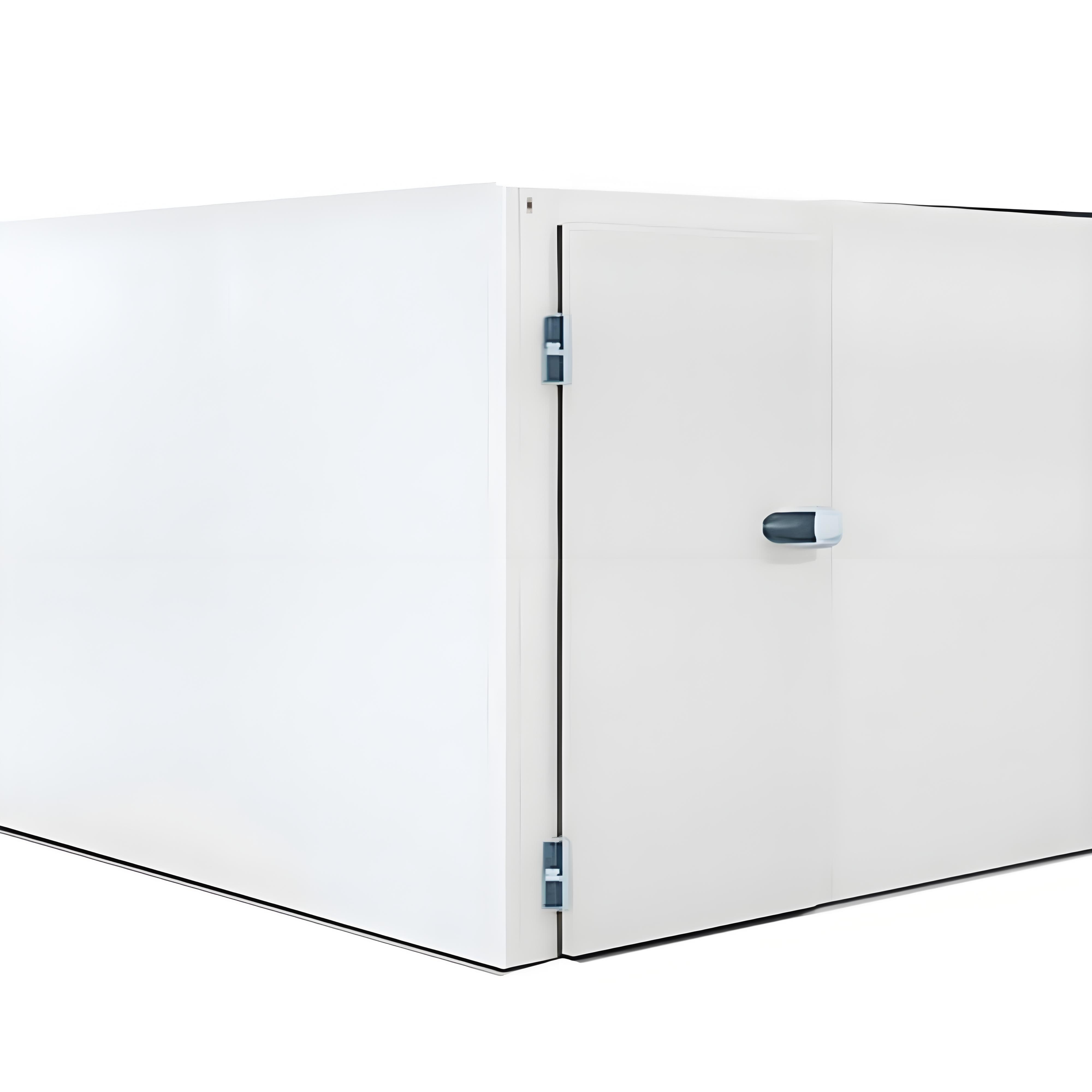Industrial Design Manual Hinged Swing Door For Walk-in Cold Storage Freezer Room For Kitchen Warehouse Supermarket Finished