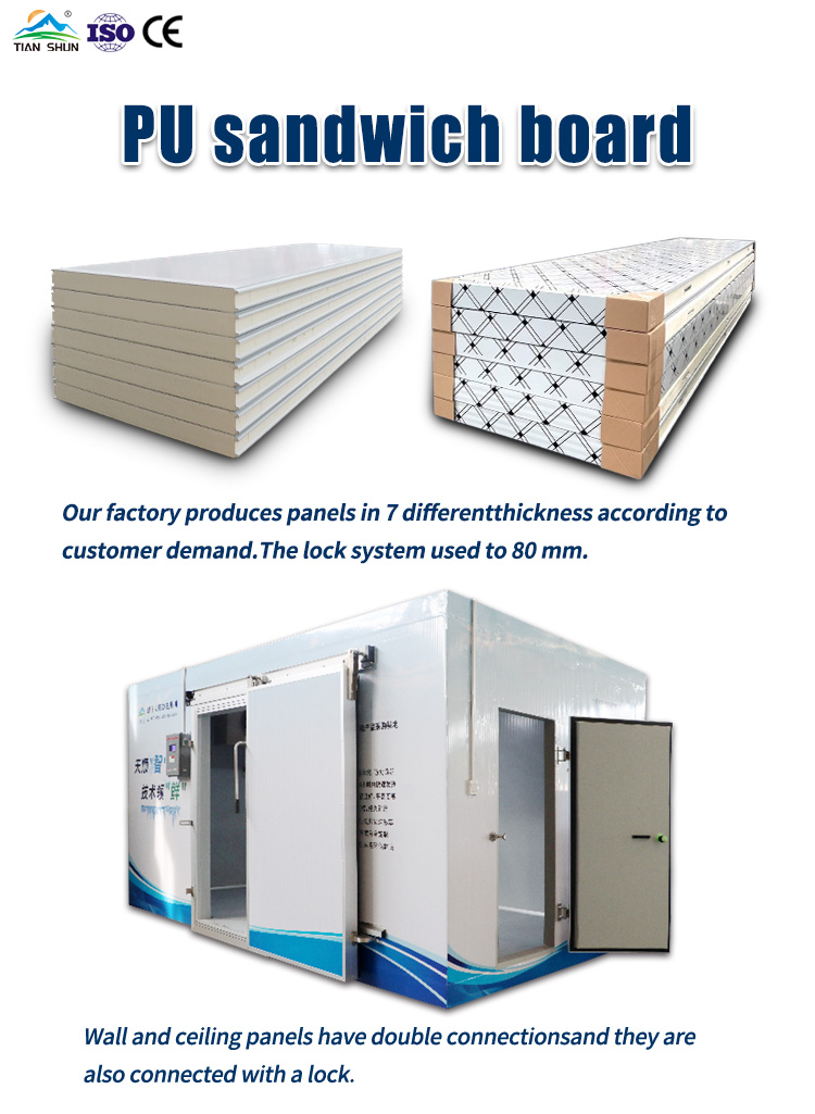 Factory Directly Supply Eco-Friendly Water Resistant Insulated PU Sandwich Panels Cold Room Wall Warehouse/Freezer/Chiller