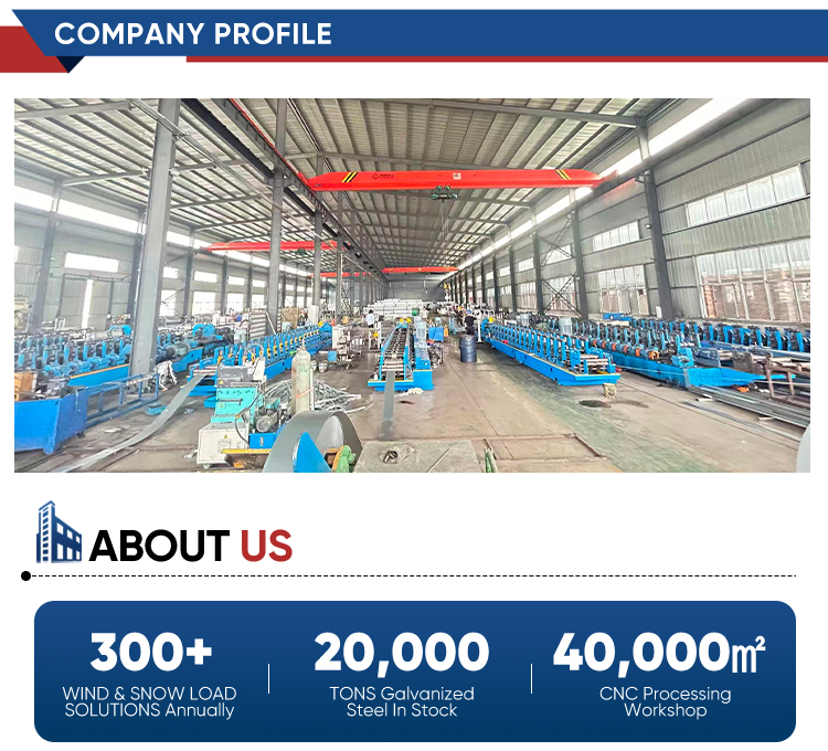 Custom Omega Purlin Cold Rolled Durable Steel for Agricultural Solar Shed Roof and Bridge Reinforcement