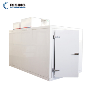 Cold Room Easy Operate Coolroom Commercial Cold Storage for Retail and Shop Walk in Freezer