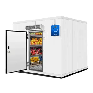 Walk-In Cold Room Commercial Cold Storage Freezer Cabinet for Fruit and Seafood
