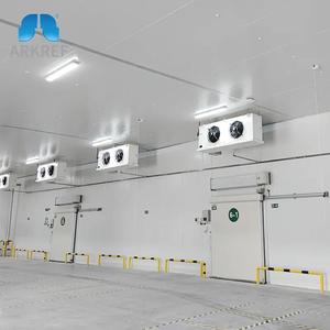 ARKREF Quick-freezing Cold Storage PU Insulated Panel for Freezer Room